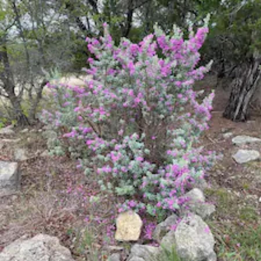 Hilltop Haven: Spacious 2br With Jacuzzi, Scenic Views, And Pet-friendly Acres Marble Falls